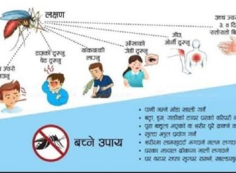 पोखरामा डेंगुको संक्रमण बढ्यो
