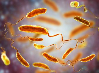 स्याङ्गजामा एक जनामा हैजा देखियो