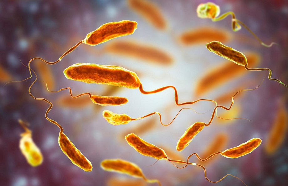 स्याङ्गजामा एक जनामा हैजा देखियो