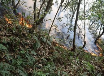 काहुँडाडाँको जंगलमा आगो दनदनी तस्बिरः सागर राज तिमिल्सिना
