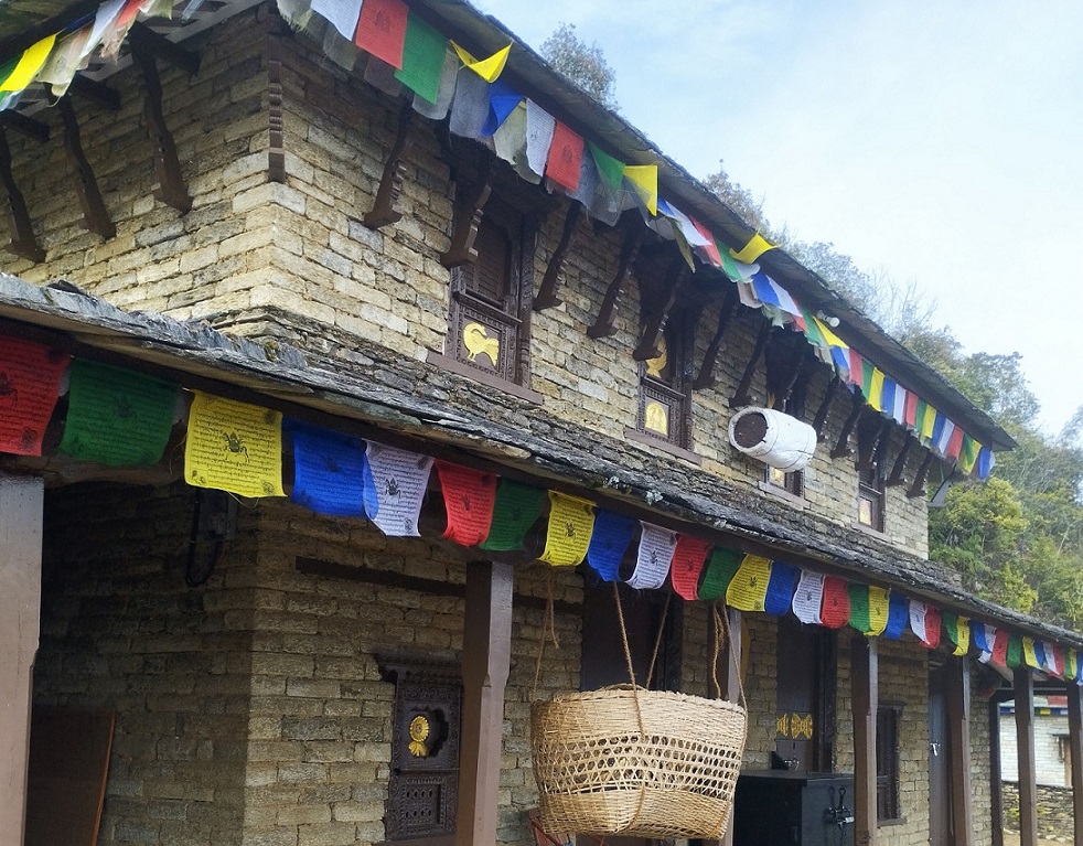 पोखरामा खुल्यो अर्को संग्रहालय