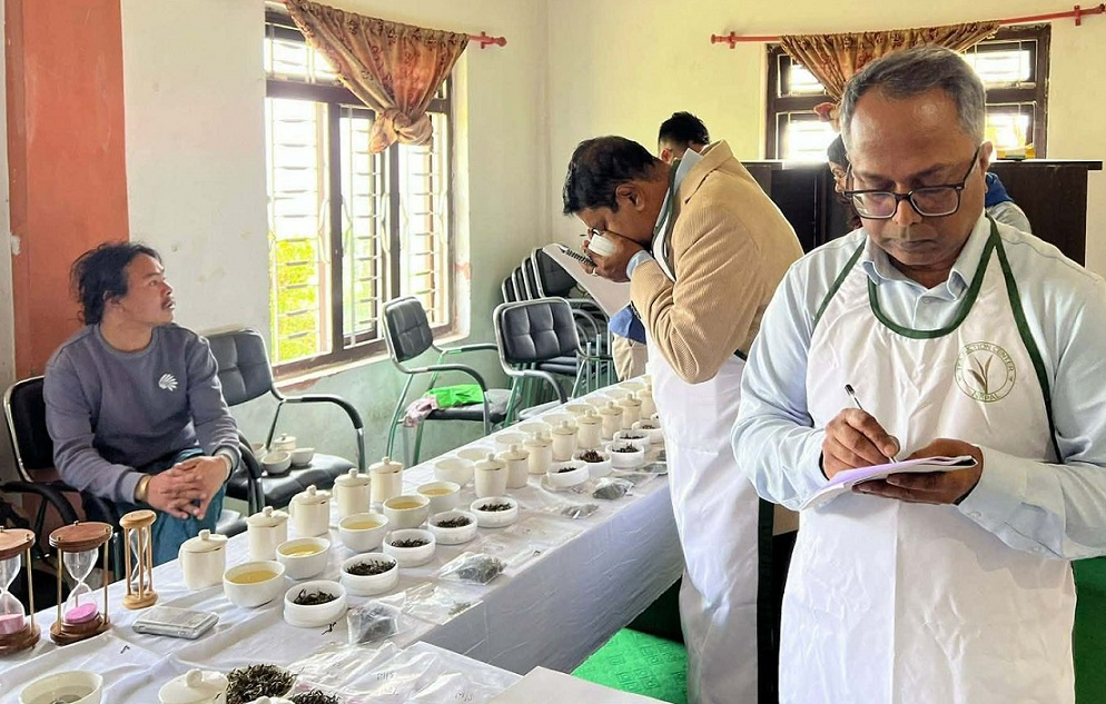 बागलुङको गोल्डेन टि ईस्टेटको चिया नेपाल उत्कृष्ट